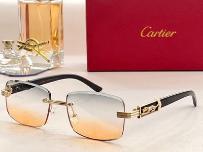 Cartier Sunglasses 773